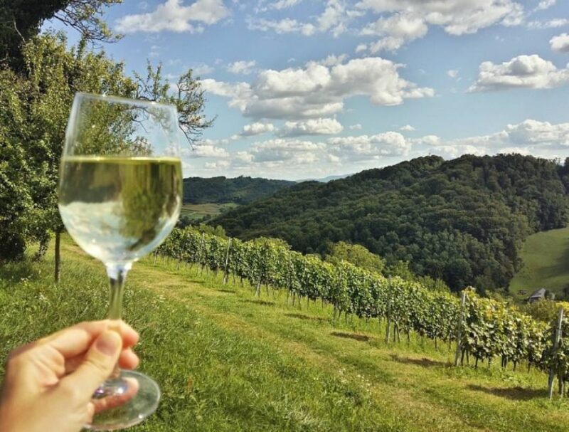 From Zagreb: Fairytale Castle & Wine Tasting & Lunch - The Value and Experience