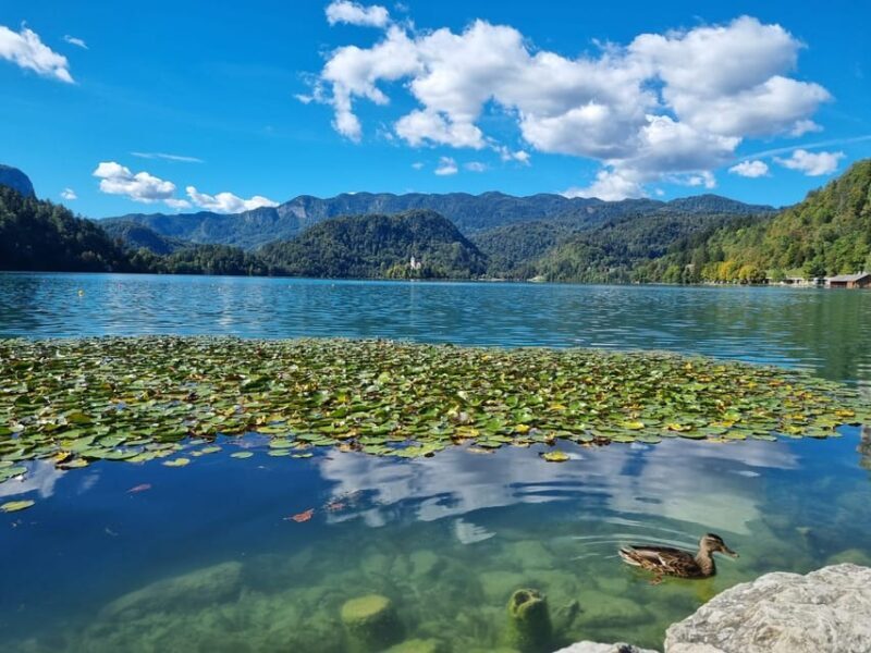 From Zagreb: Highlights Day Tour to Bled and Ljubljana - Who Will Love This Tour?