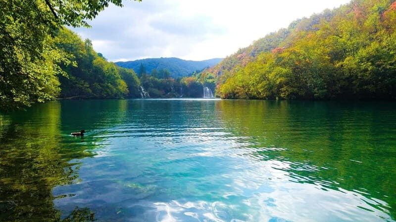 From Zagreb: Plitvice Lakes Guided Day Trip - An Overview of the Tour Experience