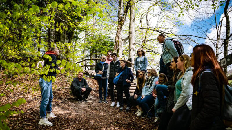 From Zagreb: Plitvice Lakes National Park Full-Day Tour - Who Is This Tour Best For?