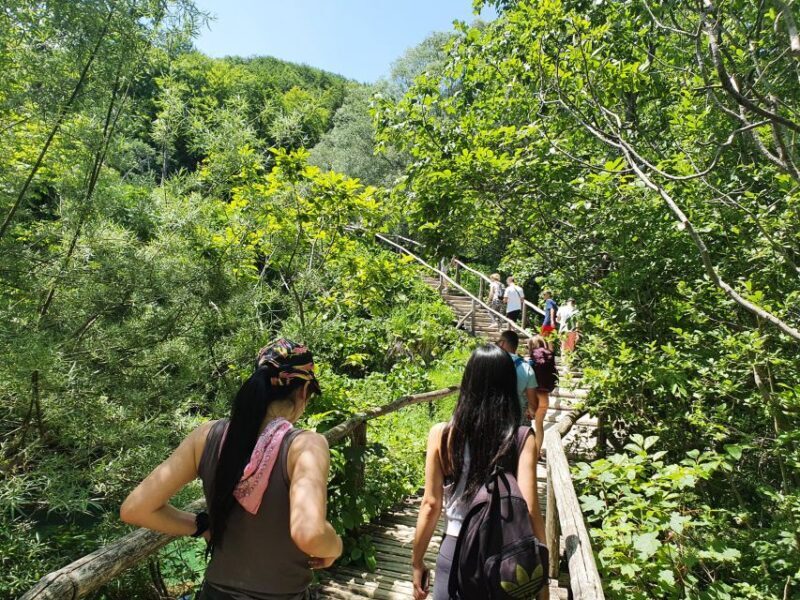 From Zagreb: Plitvice & Rastoke Guided Day Trip with Ticket - Who Should Consider This Tour?