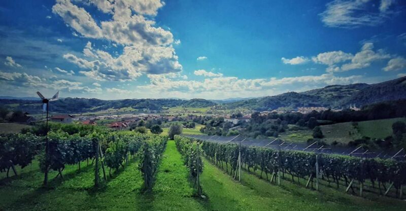 From Zagreb: Samobor & Plesivica Wine Road, Private - A Deeper Look at the Tour