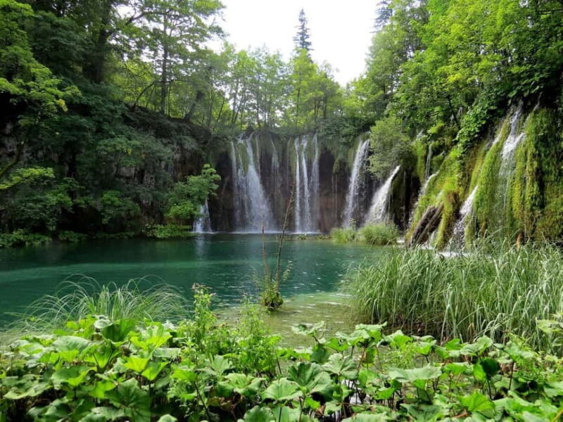 From Zagreb to Split: Plitvice Lakes Private Tour - The Sum Up