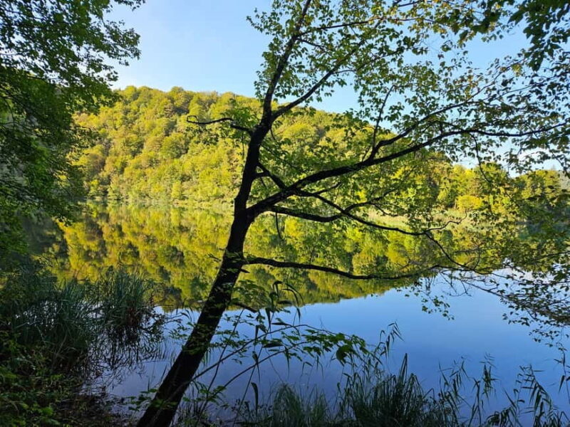 From Zagreb to Split: Private Tour with Plitvice Lakes Visit - Final Thoughts
