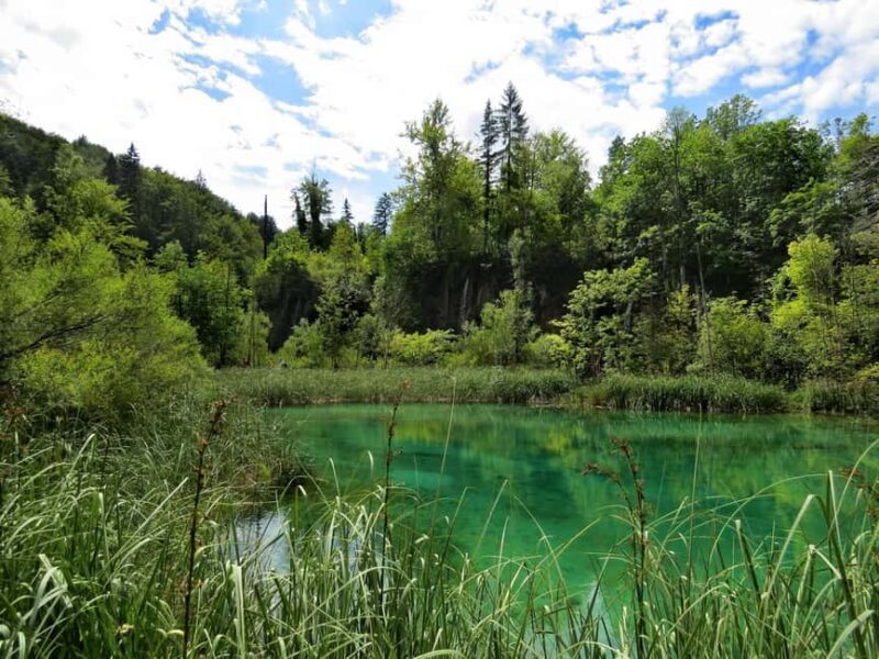 From Zagreb to Zadar: Plitvice Lakes Private Tour - Analyzing the Cost and Value