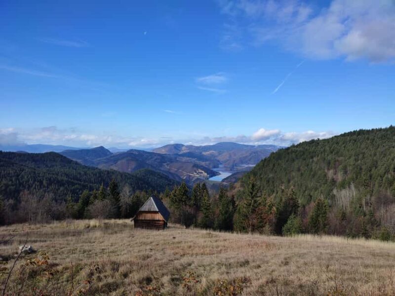 From Zlatibor/Uice: Tara National Park Adventure - Key Points