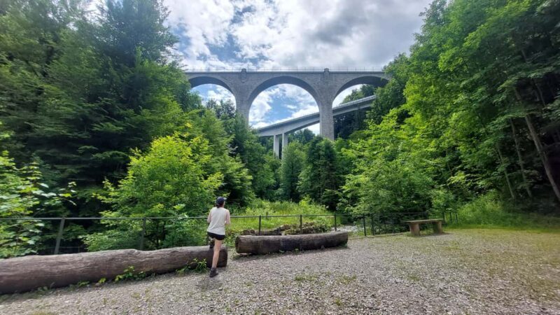 From Zug: Lorze Valley Forest Hike with Guide and Bus - Why We Think This Tour Delivers Excellent Value