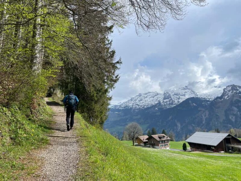 From Zug: Mythen Region Guided Hike with Gondola Rides - The Sum Up