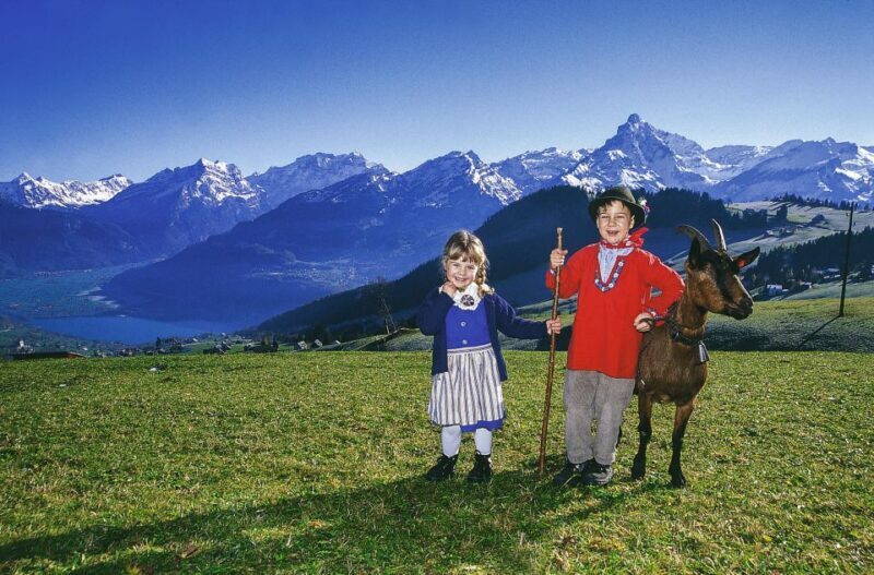 From Zurich: Bus Day Trip to Heidiland and Liechtenstein - Who Will Enjoy This Tour?