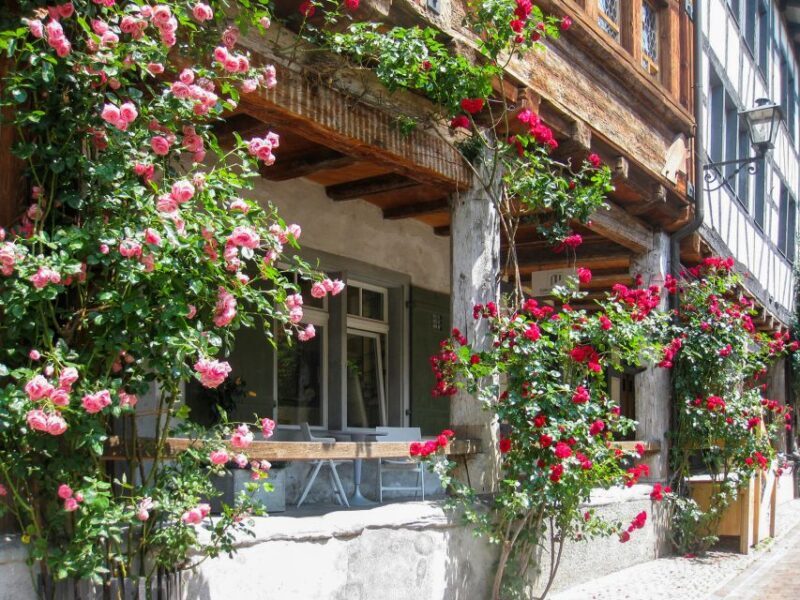 From Zurich: Bus Day Trip to Heidiland and Liechtenstein - FAQ