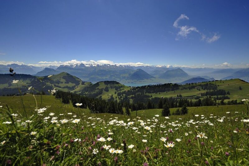 From Zürich: Day Trip to Rigi and Lake Lucerne - Frequently Asked Questions