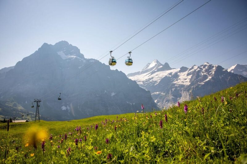 From Zurich: Grindelwald First Cable Car & Interlaken - FAQ
