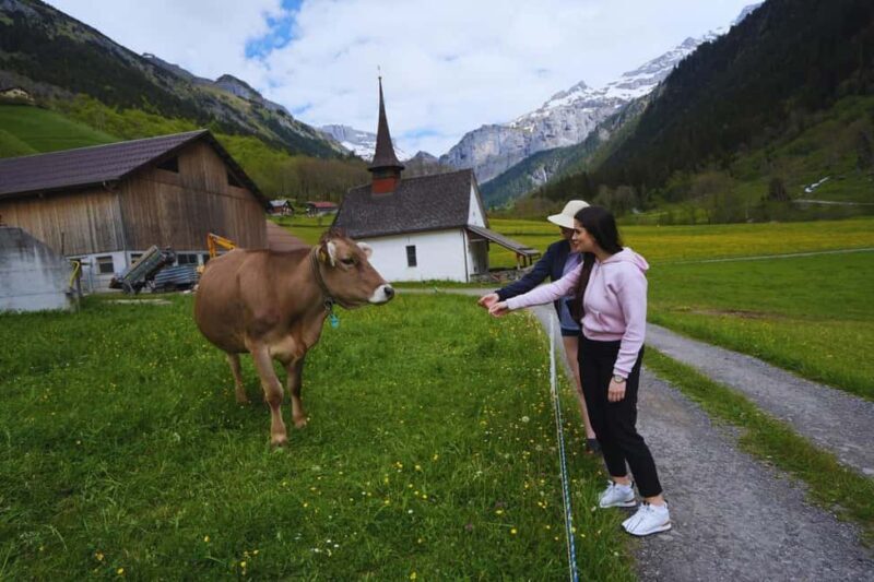 From Zurich: Hidden Swiss Gems Private Day Tour with a Local - Who Is This Tour Best For?
