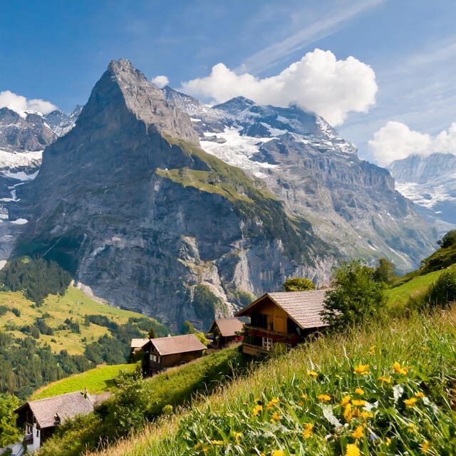 From Zurich: Interlaken and Grindelwald Private Day Tour - The Sum Up