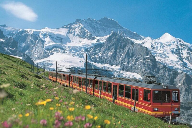 From Zurich: Jungfraujoch Guided Day Tour with Cogway Train - The Detailed Journey: What to Expect