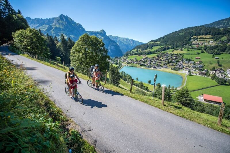 From Zurich: Lucerne and Engelberg Full-Day Tour - Who Should Consider This Tour?