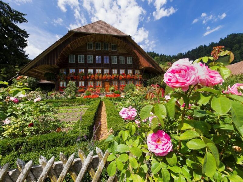 From Zurich/Lucerne: Berne Capital and Countryside Day-Trip - From Zurich/Lucerne: Bern Capital and Countryside Day-Trip — A Deep Dive