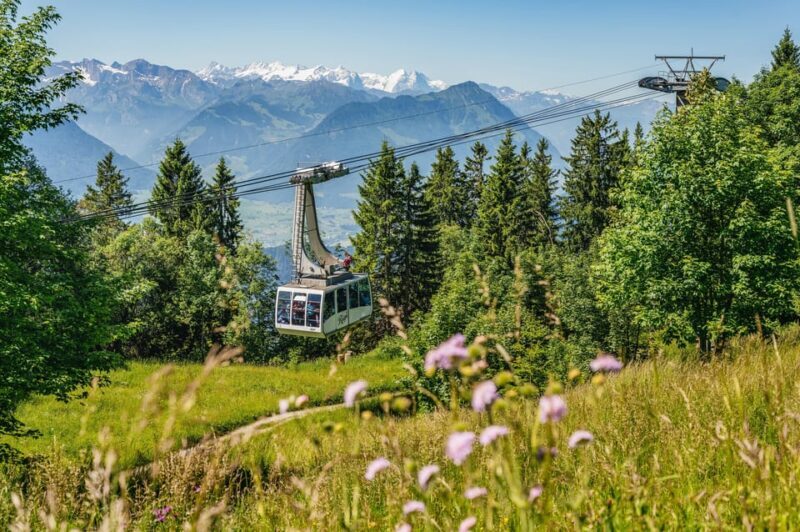 From Zurich: Mount Rigi and Lucerne Small-Group Day Trip - Key Points