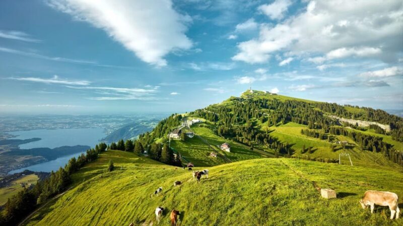 From Zurich: Mount Rigi and Lucerne Small-Group Day Trip - The Sum Up