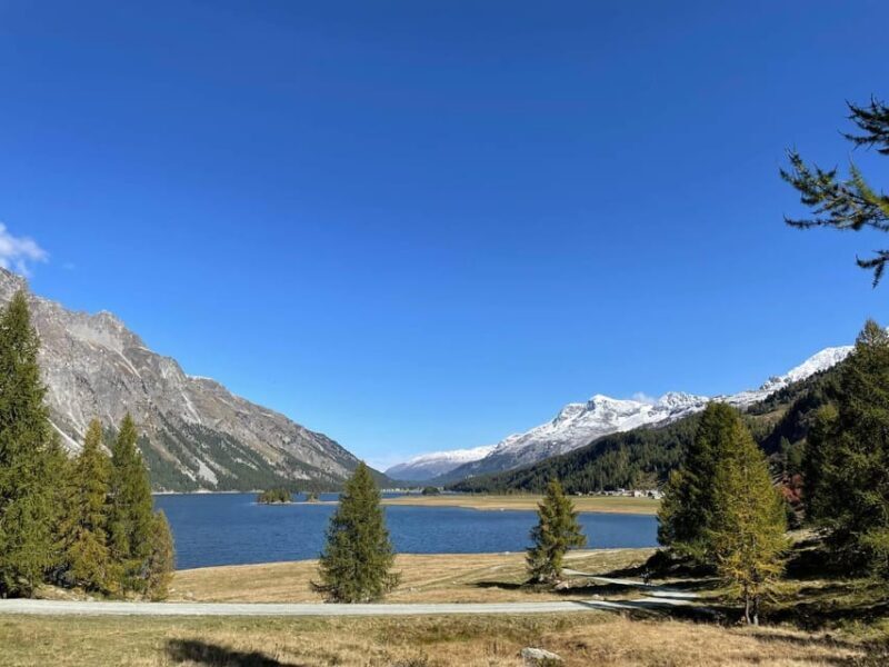 From Zurich: Private Day Trip to St. Moritz - The Sum Up