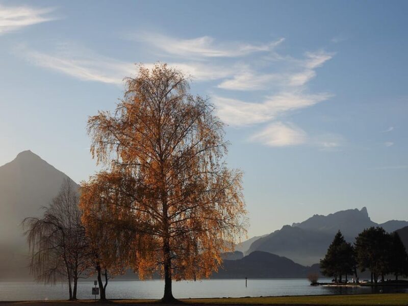 From Zurich: Private Interlaken and Grindelwald Car Tour - Is This Tour Worth It?