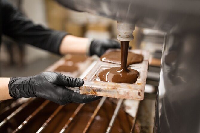 From Zurich: Rhine Falls, Chocolate and cheese factory (KTZ373) - What to Expect for the Price and Overall Value