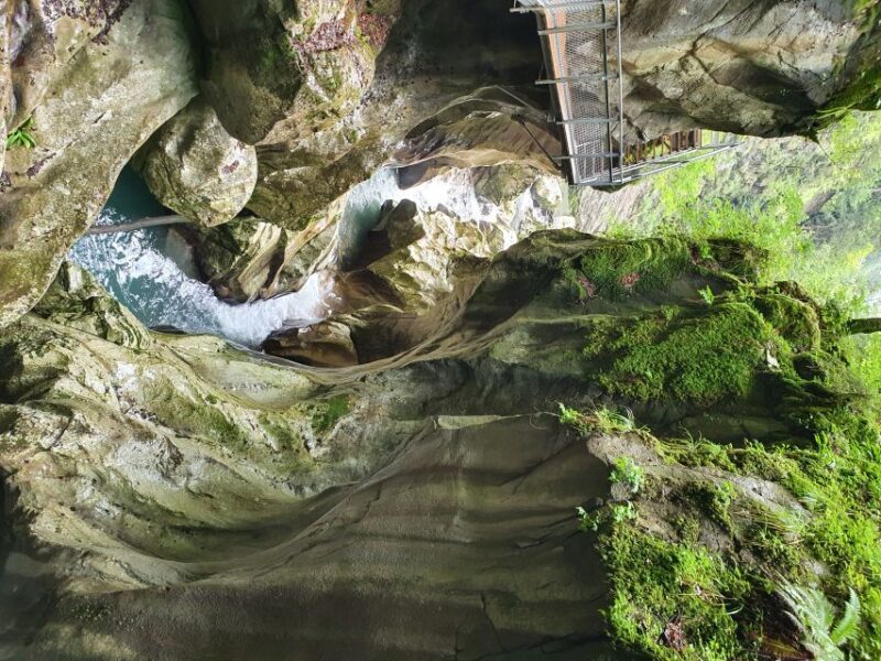 From Zurich: Waterfalls Valley & Aareschlucht Gorge Day Tour - Who Will Love This Tour?