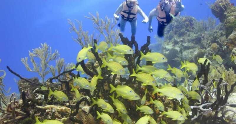 FromCancun: Puerto Morelos: Bike & Zip Line Tour - What Makes This Tour Stand Out?