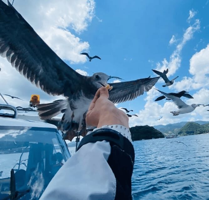 FromOsaka/Kyoto:Hiroshima & Miyajima Private Tour with Lunch - Exploring the Hiroshima & Miyajima Private Tour in Detail