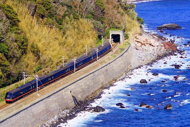 FromTokyo: Izu Scenic Oceanview Train, Volcano, Coast Day Trip - Starting Point: From Tokyo to Izu’s Natural Wonders