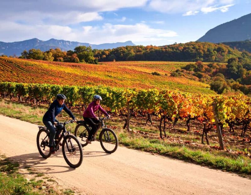 Fronsac vineyard mountain bike tour + wine tasting at La Closerie de Fronsac - A Closer Look at the Tour Experience