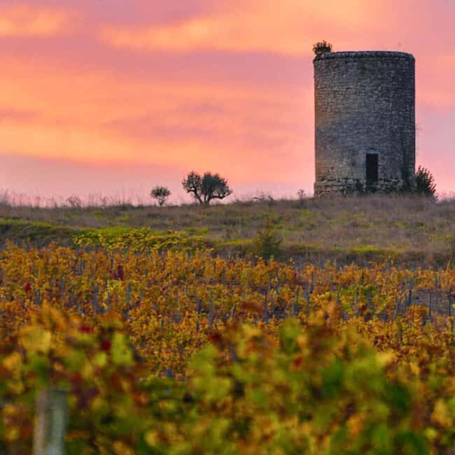Fronsac vineyard mountain bike tour + wine tasting at La Closerie de Fronsac - Who Will Love This Tour?