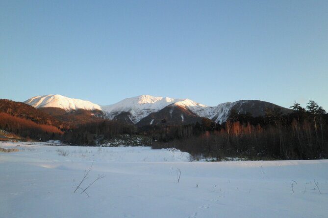 Frozen fall trekking - Frozen Fall Trekking: An Unforgettable Winter Adventure in Gero, Japan