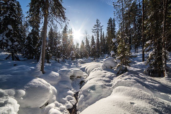Frozen Waterfalls in Korouoma Canyon adventure - FAQ