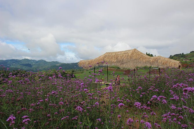 Fruiful Oneday! Trip outskirt of a City from end to end - Key Points