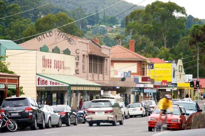 Fruit Picking & Nature Tour Yarra Valley & Warburton - Why This Tour Works Well for You