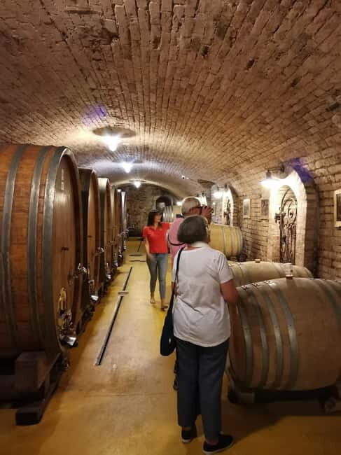 Fruka Gora Wine Tasting - A Deep Dive into the Fruka Gora Wine Tasting Experience