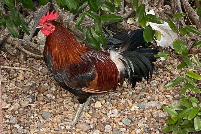 Ft. Lauderdale to Key West Day Trip Quality Day Tours - Who Will Love This Tour?