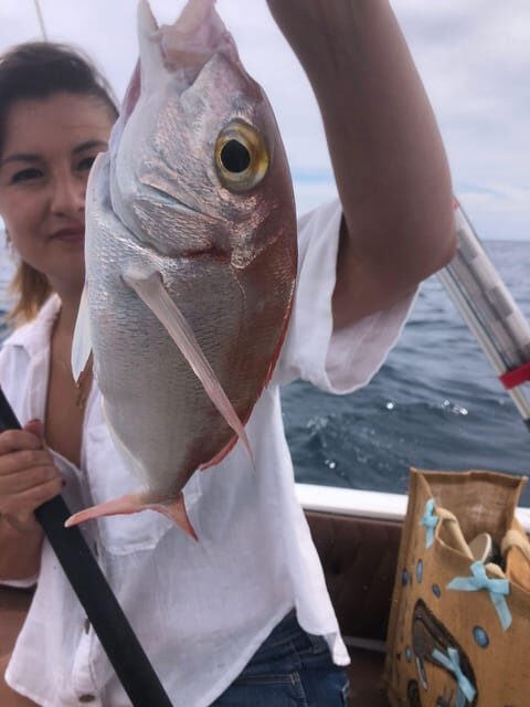 Fuengirola: Bottom Fishing Trip with Drinks & Equipment - A Few Considerations