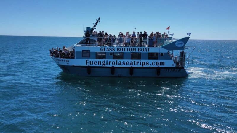 Fuengirola: Catamaran Tour to Spot Dolphins - The Experience in Practice: Pros and Cons