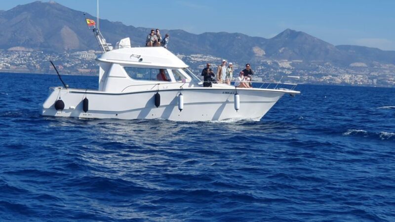 Fuengirola: Dolphin Watching Boat Trip  Fun for All Ages - Final Thoughts
