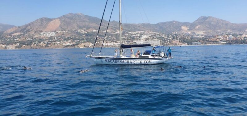 Fuengirola: Dolphin-Watching Sailing Tour with Drinks - Key Points