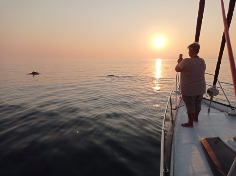 Fuengirola: Dolphin-Watching Sailing Tour with Drinks - An Honest Look at the Experience