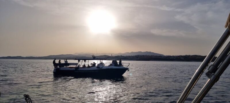 Fuengirola: Fantastic Dolphin Watching Yacht Tour with Drink - A Relaxing Dolphin Watching Adventure from Fuengirola