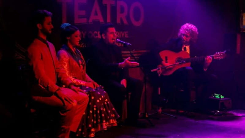 Fuengirola: Flamenco Show - A Detailed Look at the Flamenco Experience in Fuengirola