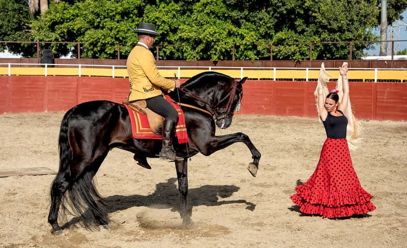 Fuengirola: Spanish Horse Show with Optional Dinner/Flamenco - A Detailed Look at the Experience