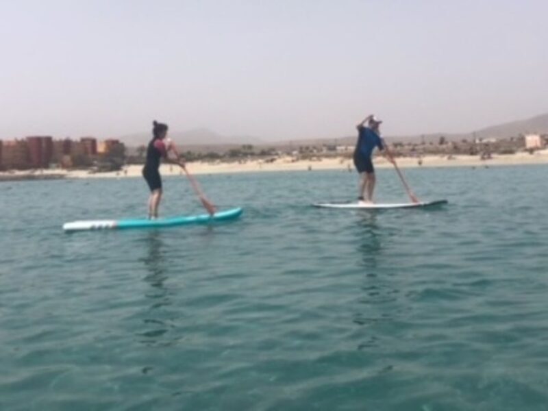 Fuerteventura: 1.5-Hour SUP Course - Caleta de Fuste - A Closer Look at the SUP Course Experience