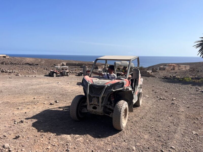 Fuerteventura : 2 hours Buggy Tour in Punta de Jandía - FAQ: Your Practical Questions Answered