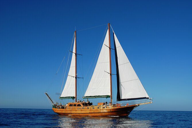 Fuerteventura: Aphrodite Exclusive Gulet with Food and Drinks - The Experience of Fuerteventura’s Aphrodite Gulet Tour