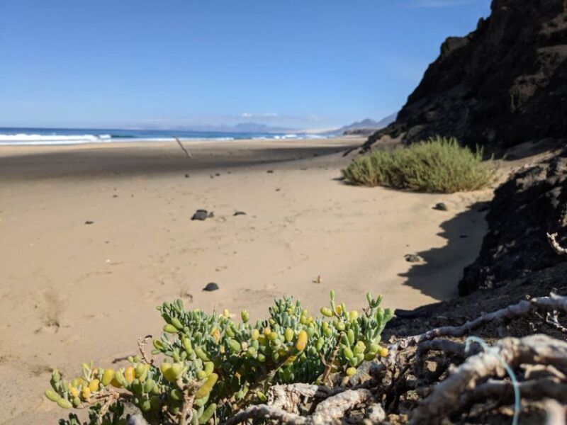 Fuerteventura: Cofete Guided Hiking Tour and Picnic - The Second Hike: From the Ravine to the Beach